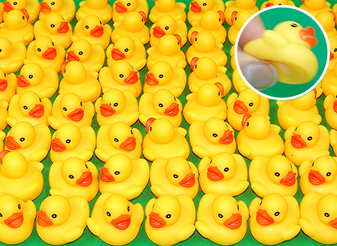 うきうきアヒル/参加賞景品