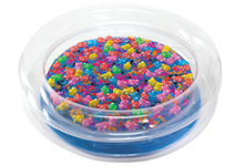 おもちゃの金魚すくい大会