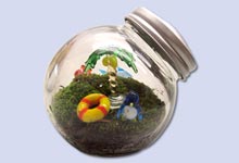 苔テラリウム作り