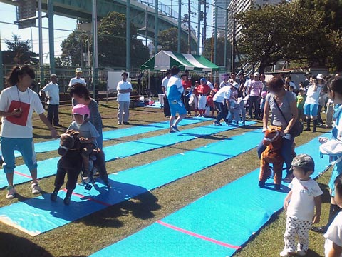 ぱかぱかレーシングホース｜現場施工例